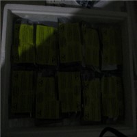 瑞士Maxon Motor直流電機226784技術詳情 瑞士Maxon Motor直流電機226784技術詳情