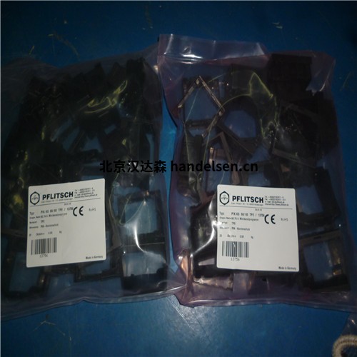 北京漢達森Pflitsch(4) 北京漢達森Pflitsch(4)