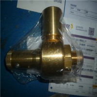 進口意大利NUOVA GENERAL安全閥 G10 進口意大利NUOVA GENERAL安全閥 G10