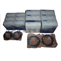 德國GMN主軸軸承HYSM6003 CTA ABEC 7 德國GMN主軸軸承HYSM6003 CTA ABEC 7