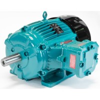 英國Brook Crompton鎢鋁電機WP-DA132SGX 英國Brook Crompton鎢鋁電機WP-DA132SGX