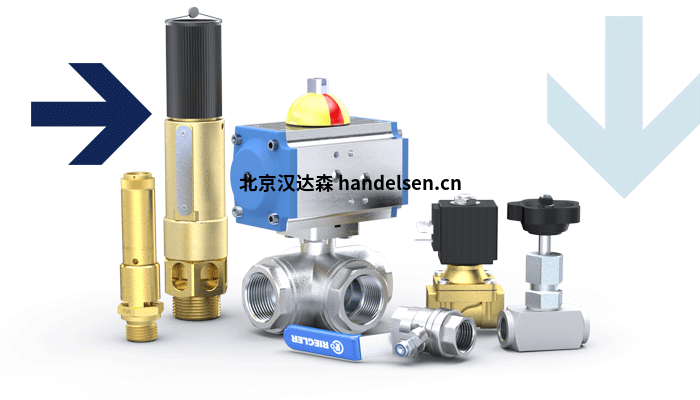 德國RIEGLER活塞桿氣缸產品介紹及說明