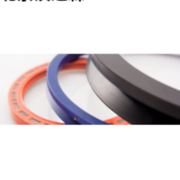 意大利FP Paris油封GSM 意大利FP Paris油封GSM