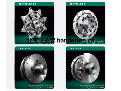 CENTA CX-12-VFA-180-0-60-8型聯軸器