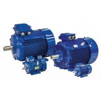 德國單相電動機BEVI 德國單相電動機BEVI