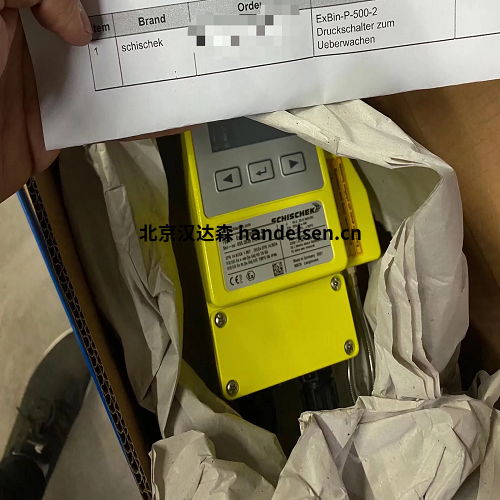 Schischek傳感器 Schischek傳感器