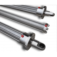 Water Hydraulics氣缸Janus不銹鋼125-WD-80-FB-* Water Hydraulics氣缸Janus不銹鋼125-WD-80-FB-*