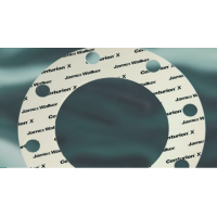 英國JAMES WALKER墊圈墊片CNAF型 英國JAMES WALKER墊圈墊片CNAF型