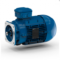 watt標準電機WAG 型號 B3整體電機 watt標準電機WAG 型號 B3整體電機