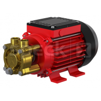 SPECK蓄熱式渦輪泵Y/YS-2951型緊密耦合自吸 SPECK蓄熱式渦輪泵Y/YS-2951型緊密耦合自吸