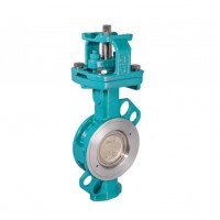 interapp DN 50-600重型應用蝶閥金屬閥體雙偏心ELARA閥門 interapp DN 50-600重型應用蝶閥金屬閥體雙偏心ELARA閥門