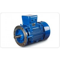 CEMP AB30r 160L  2 V1防爆電機 CEMP AB30r 160L  2 V1防爆電機