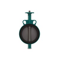 瑞士InterApp蝶閥D10040.33-2KR.41.2AR.E應用于工業流體系統 瑞士InterApp蝶閥D10040.33-2KR.41.2AR.E應用于工業流體系統