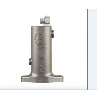 NetterVibration 氣動沖擊器PKL 2100 系列 帶自動控制裝置的型號 ST NetterVibration 氣動沖擊器PKL 2100 系列 帶自動控制裝置的型號 ST