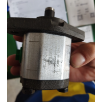 ROQUET齒輪泵 1L05DE10R應用于工業流程中液體輸送 ROQUET齒輪泵 1L05DE10R應用于工業流程中液體輸送