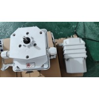 Stromag51_75_BM0Z_498輔助電流變速箱凸輪終端開關 Stromag51_75_BM0Z_498輔助電流變速箱凸輪終端開關