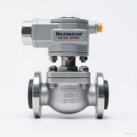 MAXIMATOR 閥門 GX35 - EPDM：高壓流體控制的可靠衛士