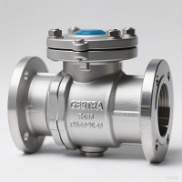 GESTRA RK86DN40PN40 止回閥：蒸汽與工業流體系統的堅固守護者