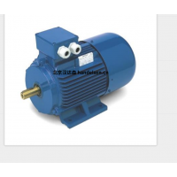 意大利 OEMER 異步電機 MTES3 系列:高效驅動,賦能工業新動能 意大利 OEMER 異步電機 MTES3 系列:高效驅動,賦能工業新動能