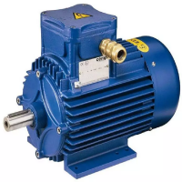 Cemp防爆電機 ATL 220 2 3F 230D:堅固守護危險區域的動力核心 Cemp防爆電機 ATL 220 2 3F 230D:堅固守護危險區域的動力核心