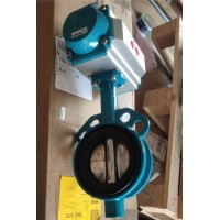 瑞士InterApp 蝶閥B10032.33 球墨鑄鐵閥體-20℃至 120℃耐溫 瑞士InterApp 蝶閥B10032.33 球墨鑄鐵閥體-20℃至 120℃耐溫